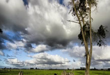 探索上海街拍天涯论坛的精彩世界