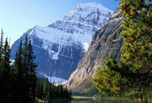 天涯论坛最惊人的十大神贴盘点