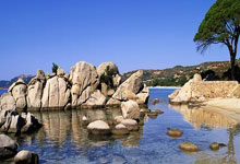 天涯论坛护肤秘籍大揭秘